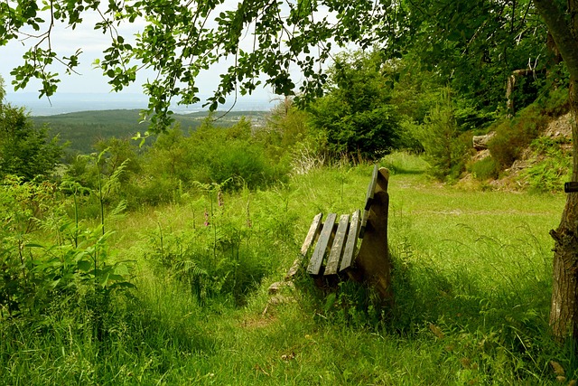 12月6日欧篮联看点：红星巴萨强强对话，帕纳辛纳科斯力争5连胜