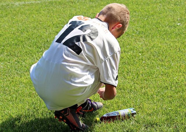 的最佳結晶 的最佳結晶